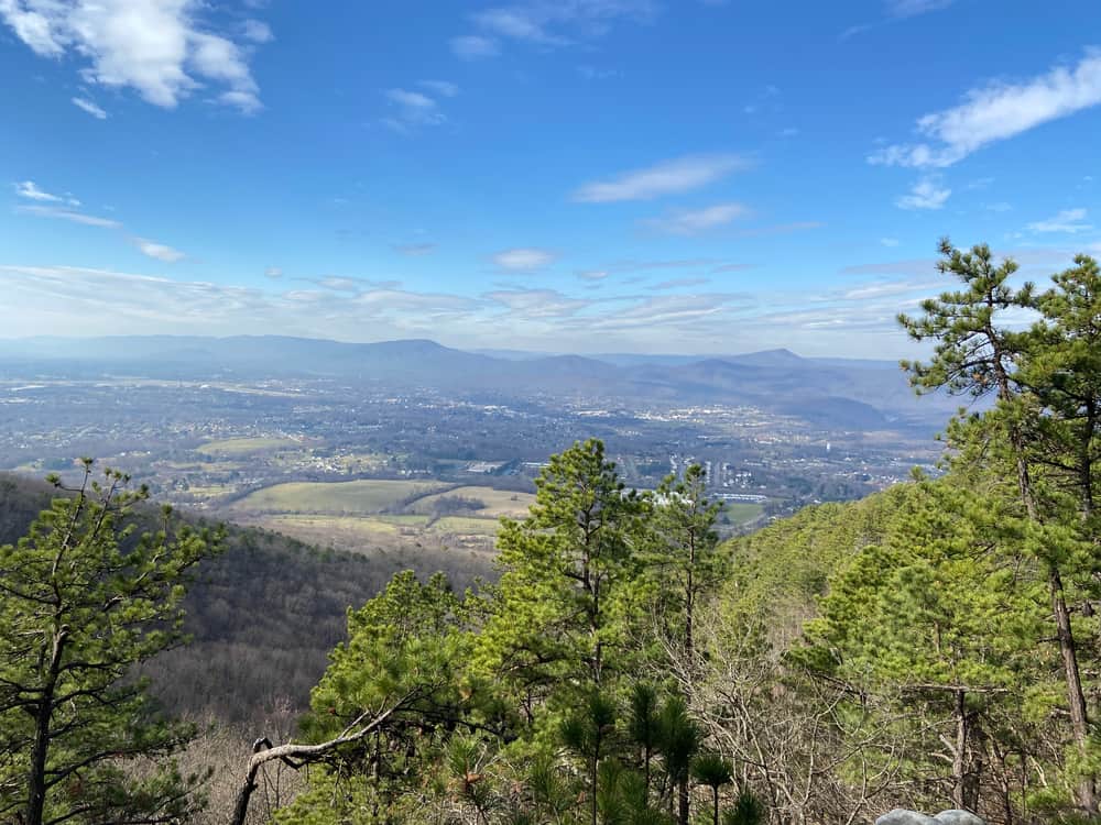 Read Mountain Preserve