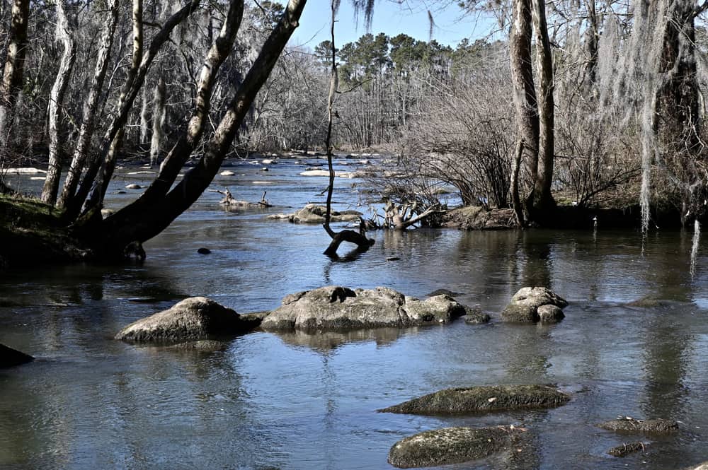 Saluda Shoals Park