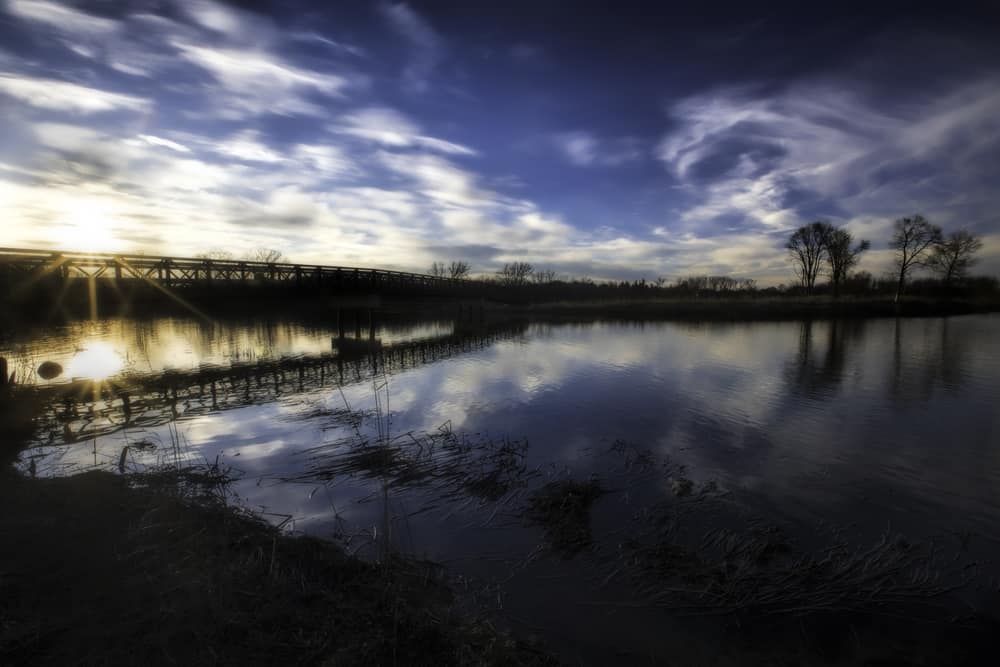Mallard Lake Forest Preserve