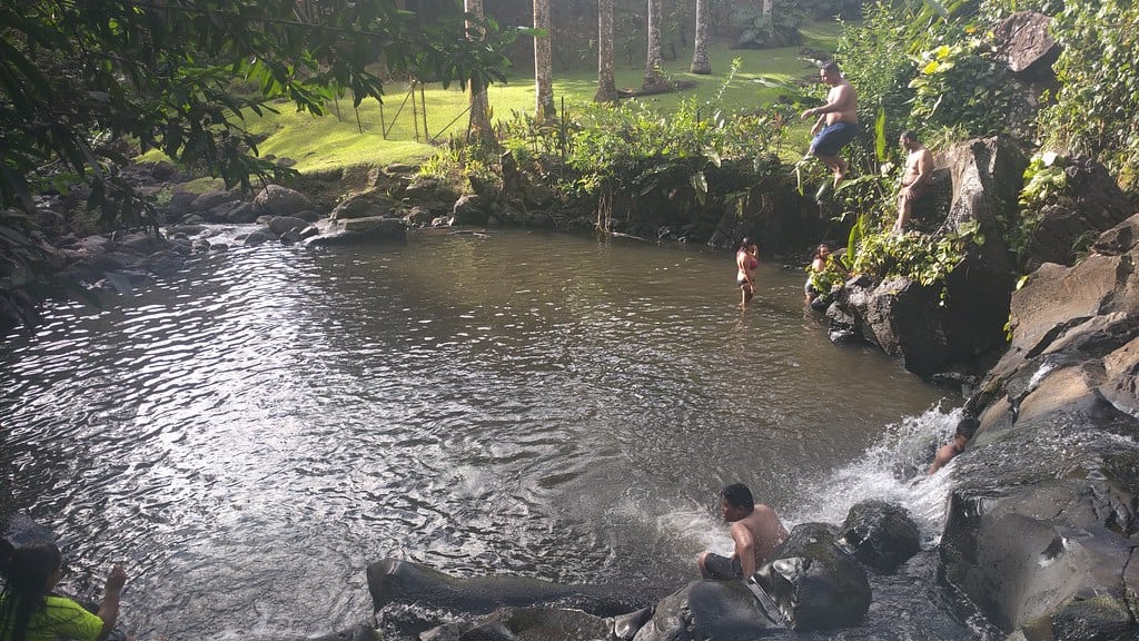 Jackass Ginger Pool Falls