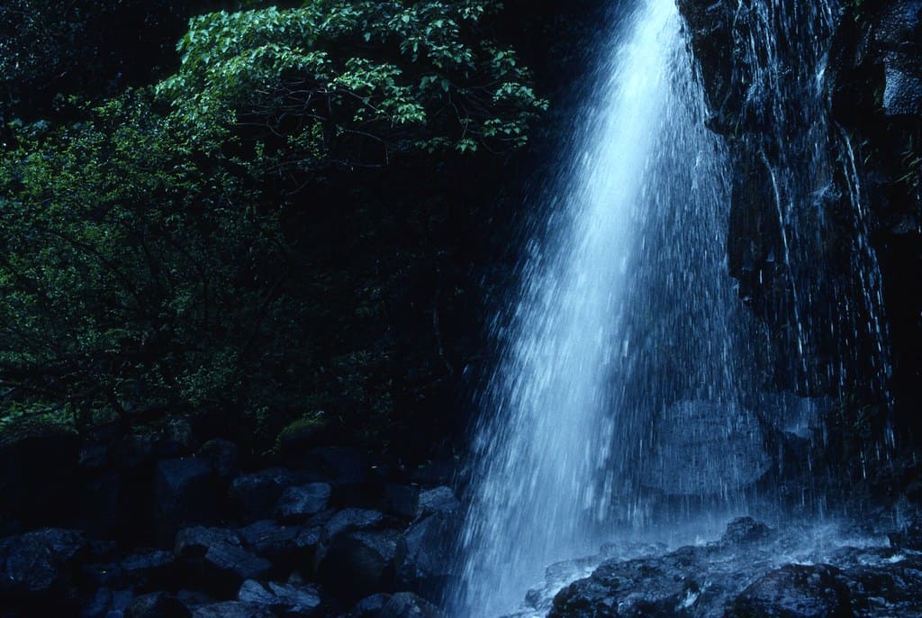 Kalihiwai Falls