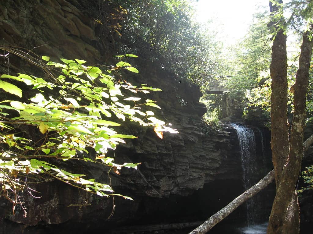 Little Stony Creek Falls