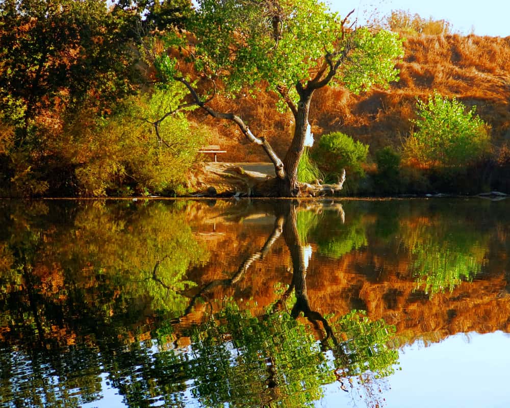 Shadow Cliffs Lake