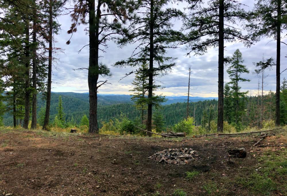 Coeur d’Alene National Forest