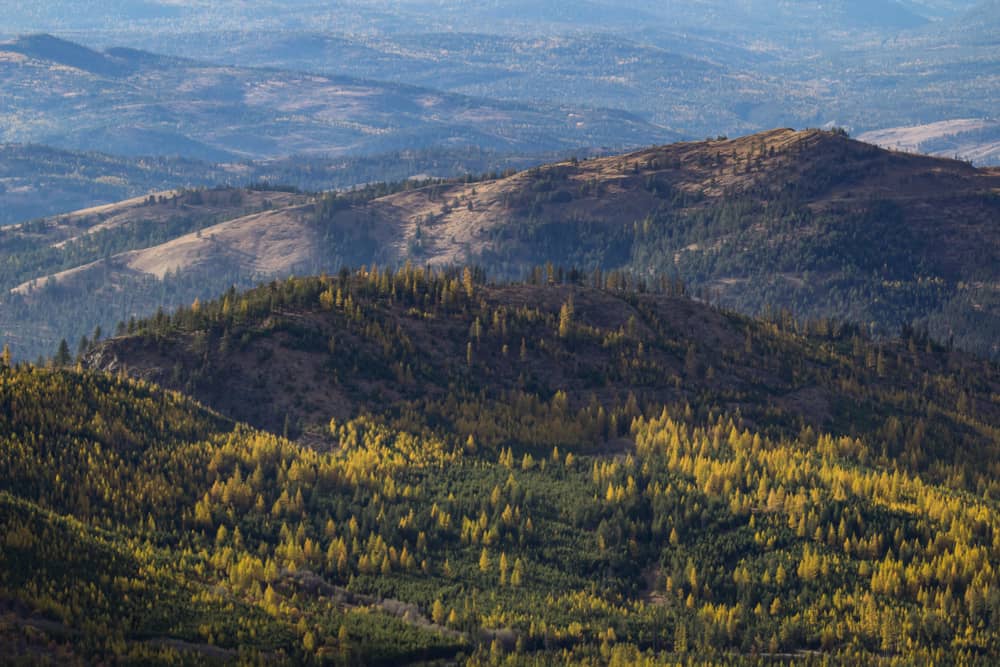 Colville National Forest