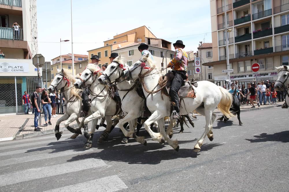 Feria d'Alès