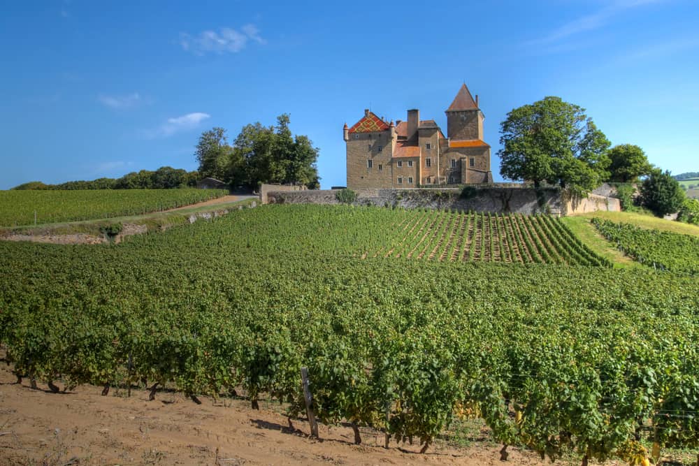 Château de Pierreclos