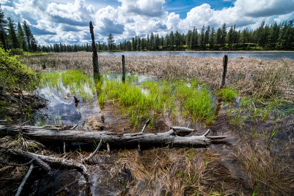 Turnbull National Wildlife Refuge