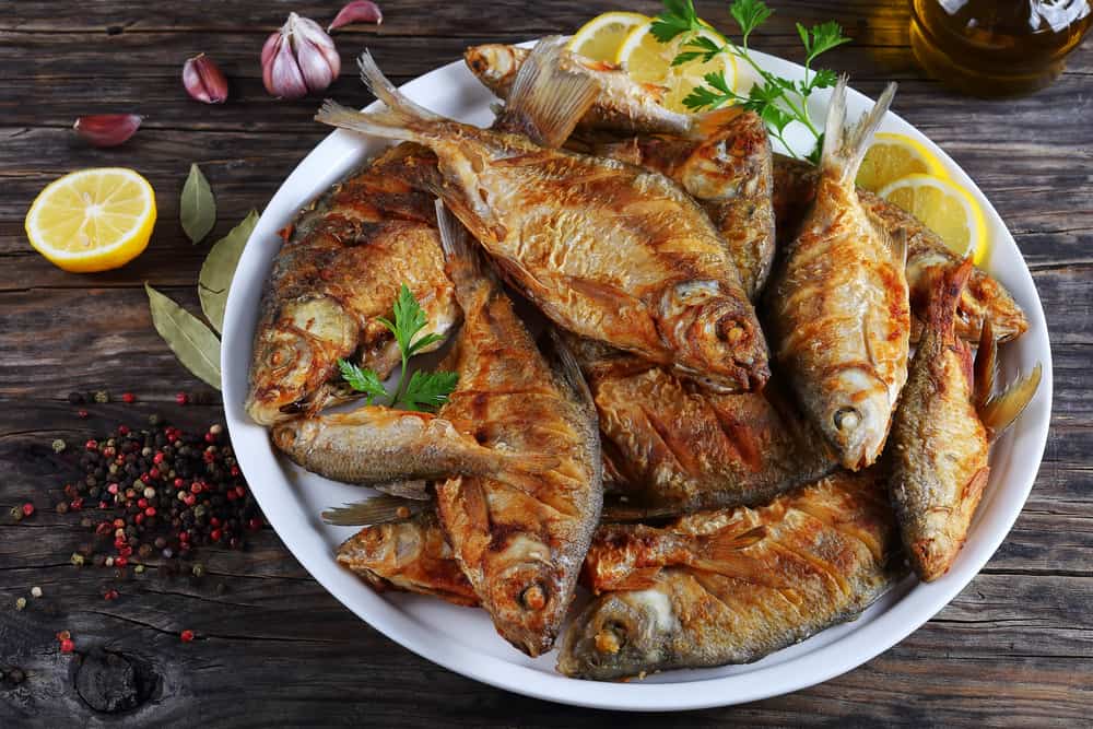 freshwater fish