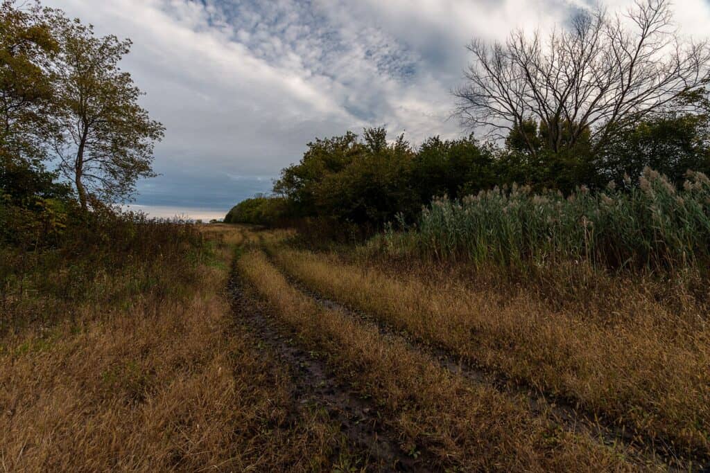 Arthur L. Janura Preserve
