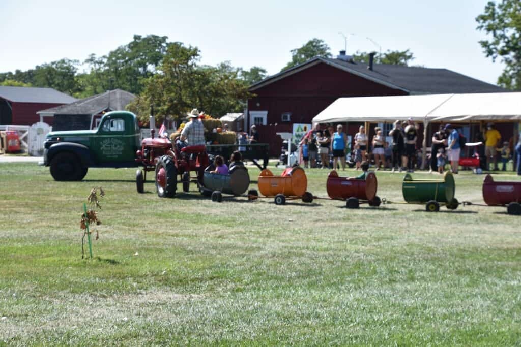 Lambs Farm