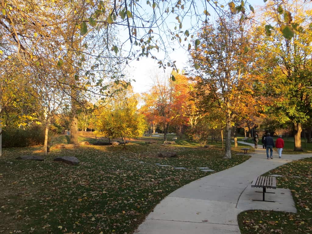 Mills Park