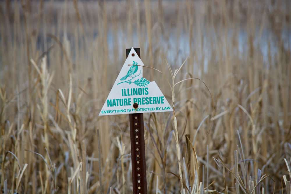 Exner Marsh Nature Preserve