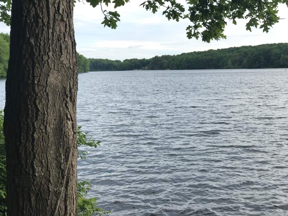 Killingly Pond State Park