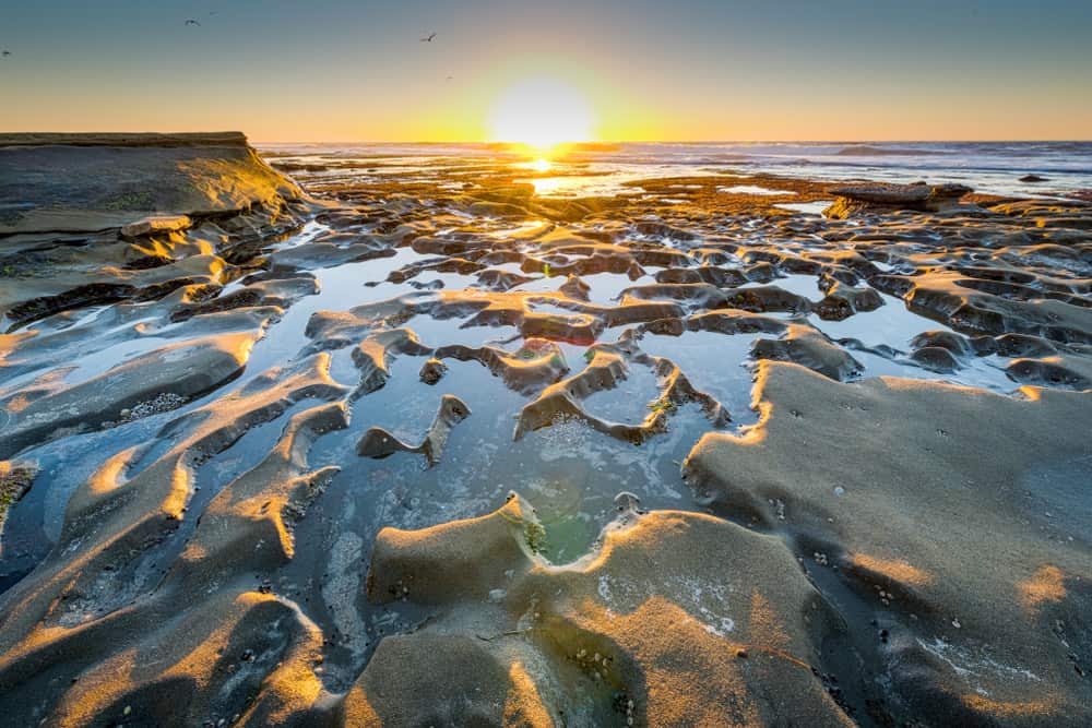 La Jolla Shores and Tide Pools