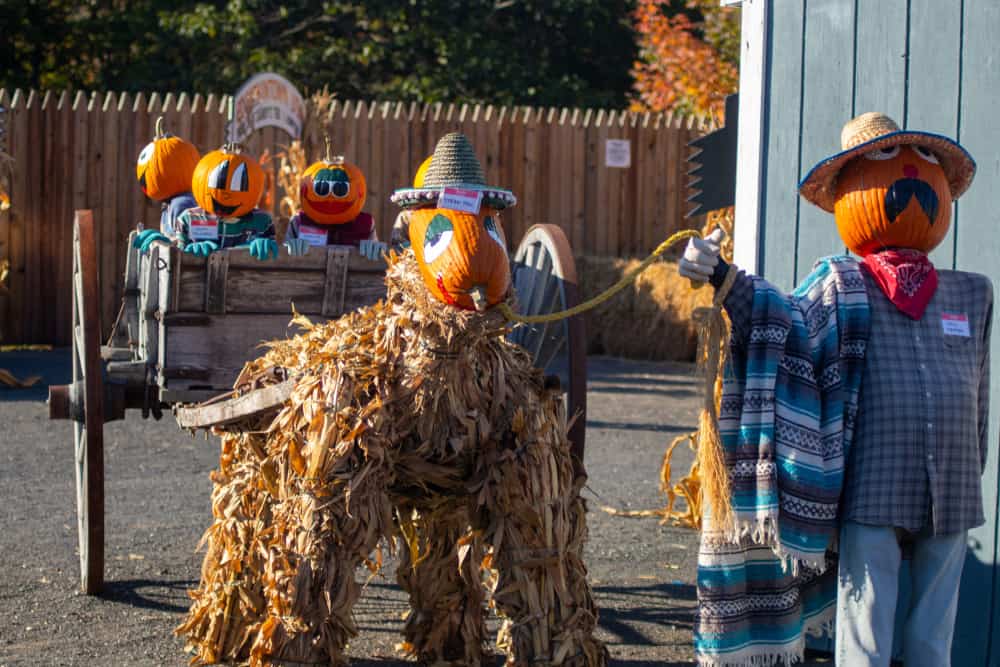 Pumpkintown USA