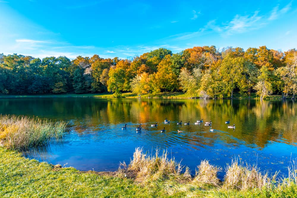Potawatomi Woods and Lake