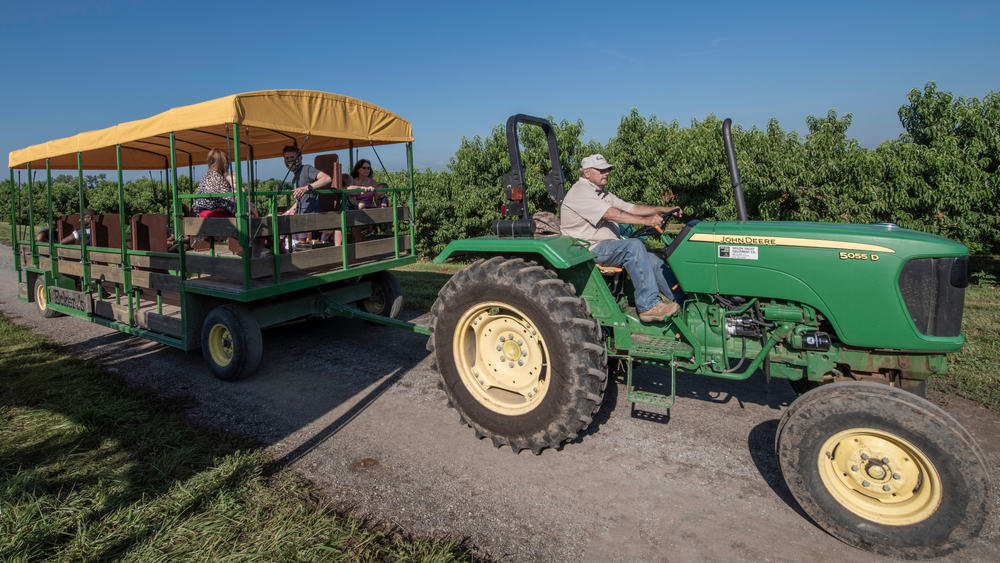 Eckert’s Country Store & Farms