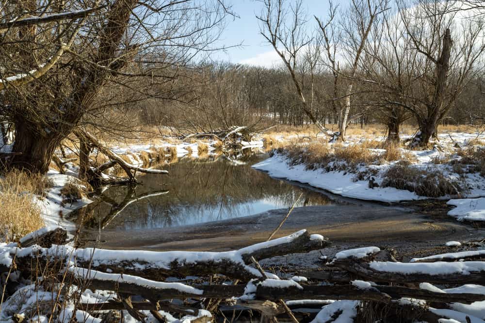 Poplar Creek Trail