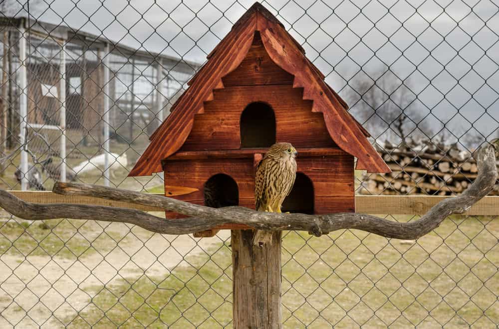 Willowbrook Wildlife Center