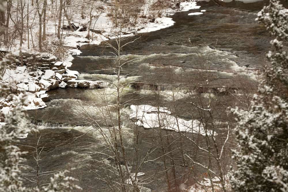 Salmon River State Forest