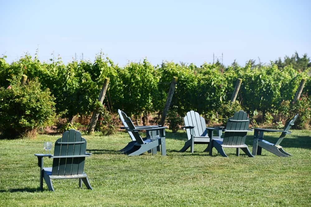 15 mejores cosas para hacer en Stonington (CT) 15 mejores cosas para hacer en Stonington (CT)