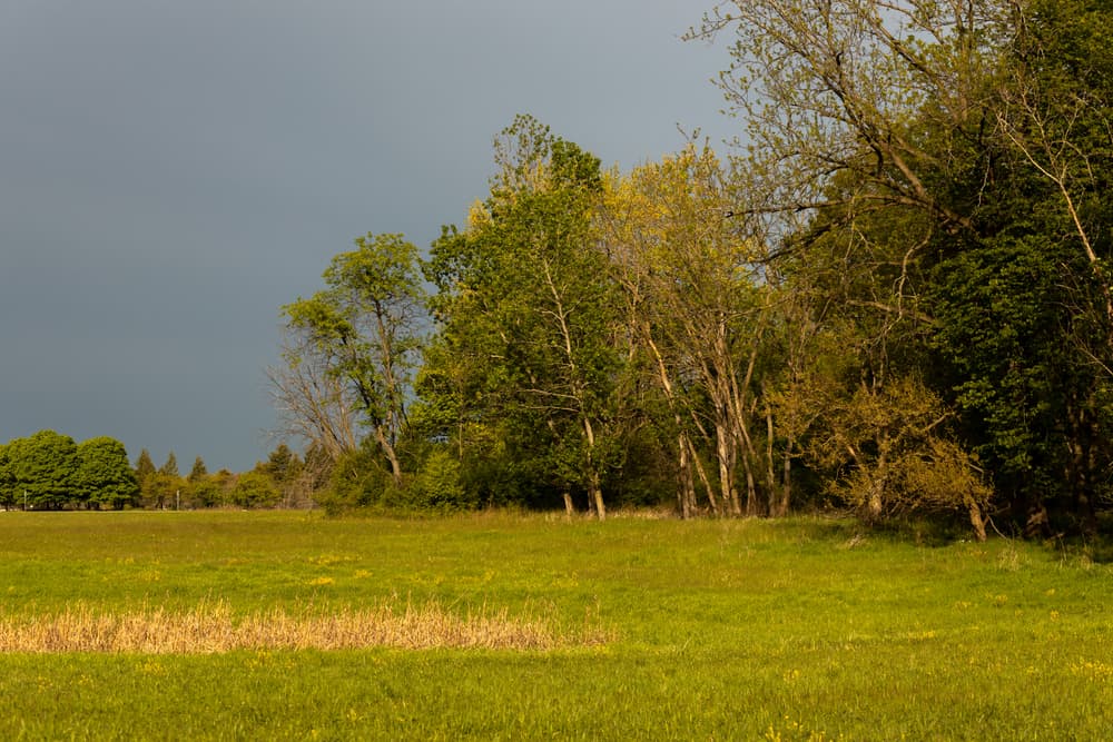 Paul Douglas Preserve
