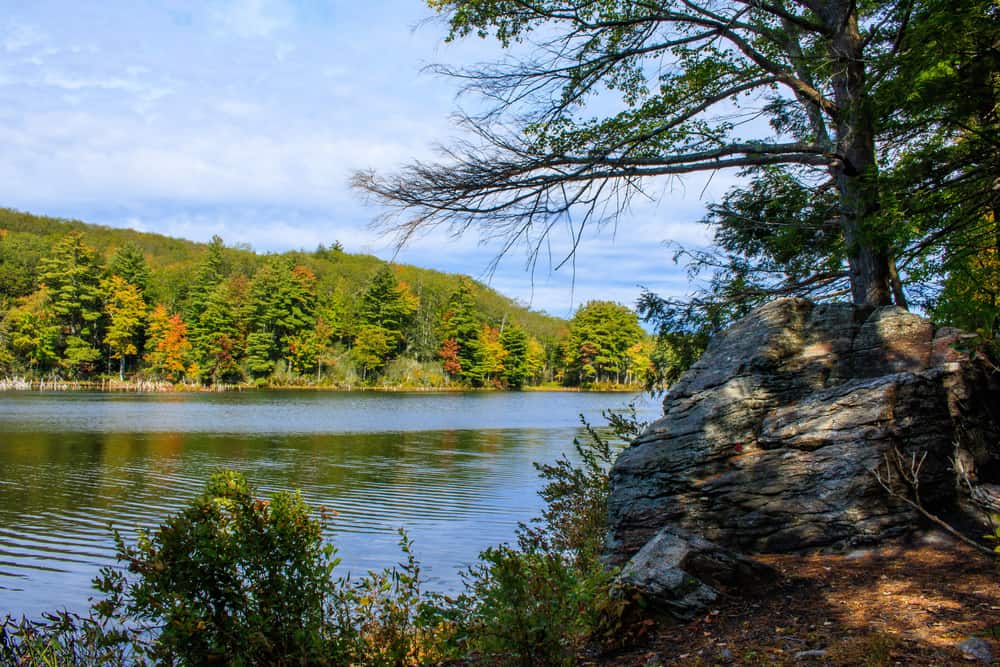 Nipmuck State Forest