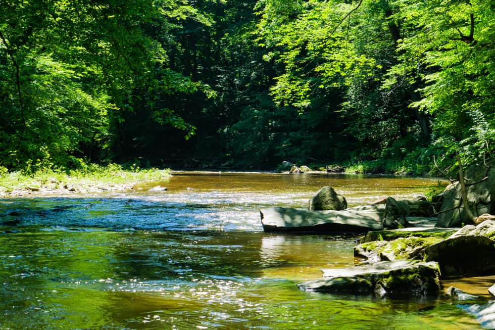 White Clay Creek State Park