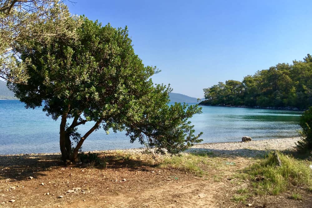 Tavşan Burnu Tabiat Parkı