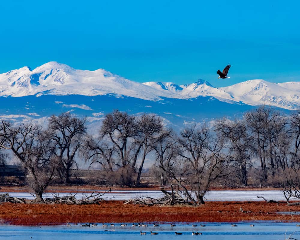 Barr Lake State Park