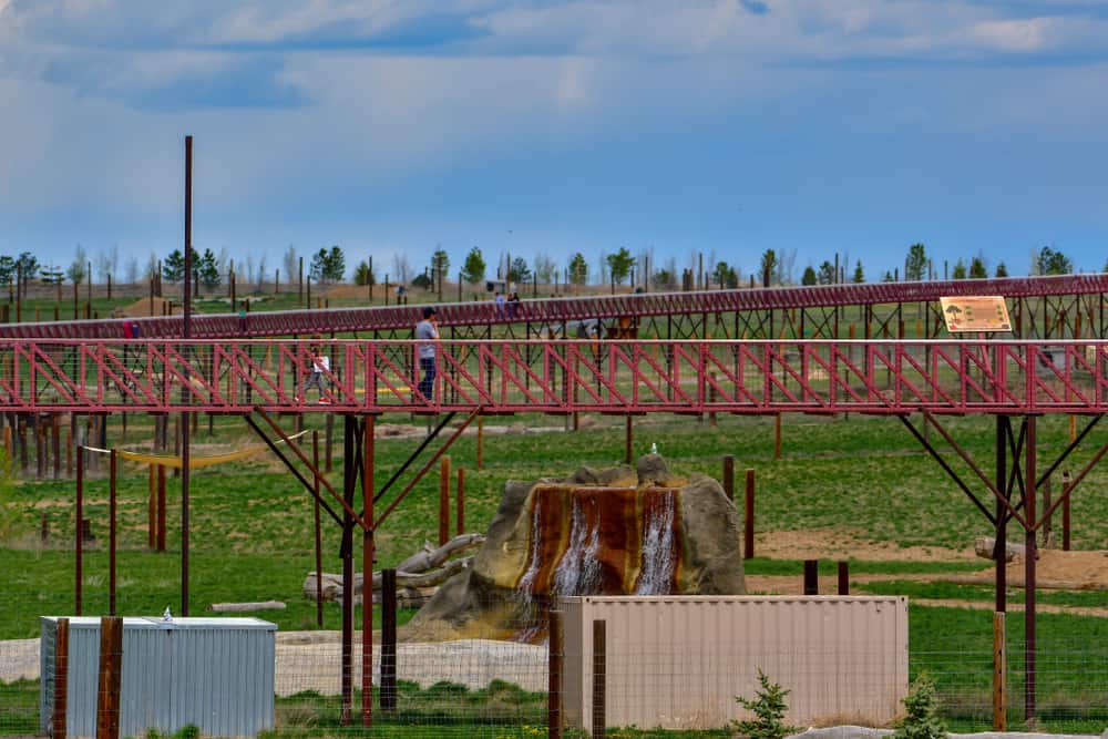 Wild Animal Sanctuary