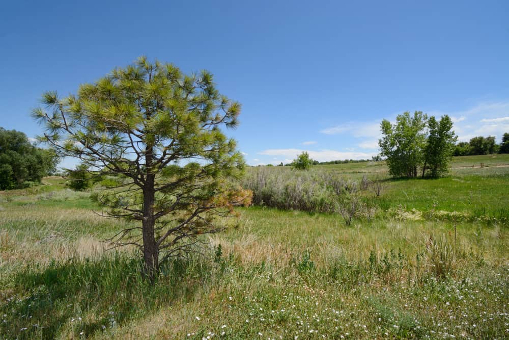Two Ponds National Wildlife Refuge