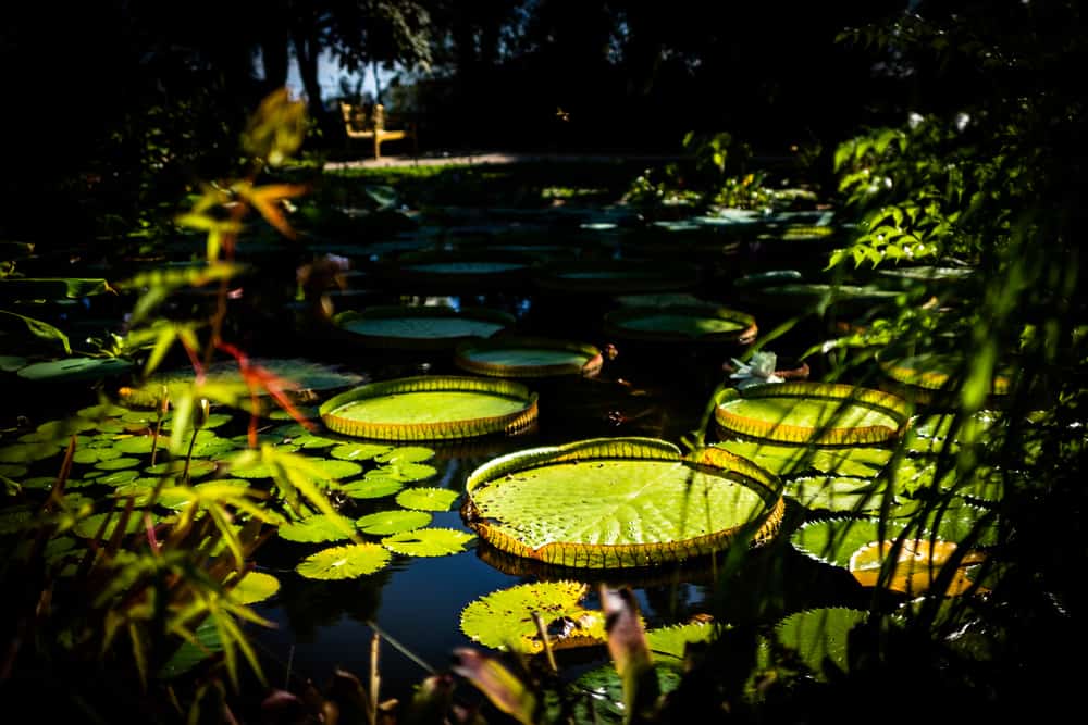 Val Rahmeh Botanical Garden