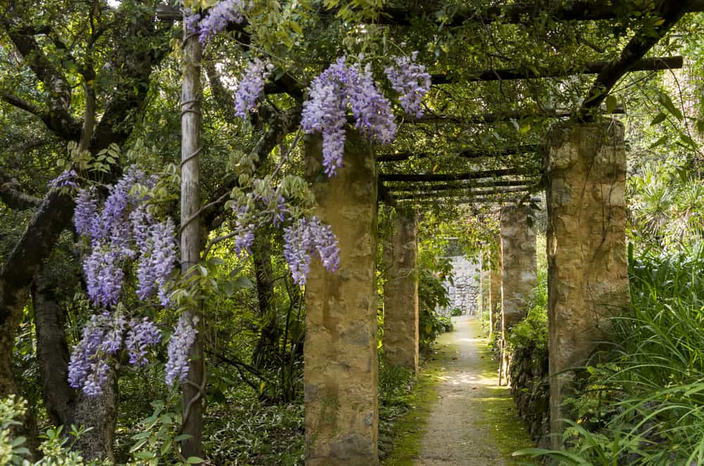 Jardin Serre de la Madone