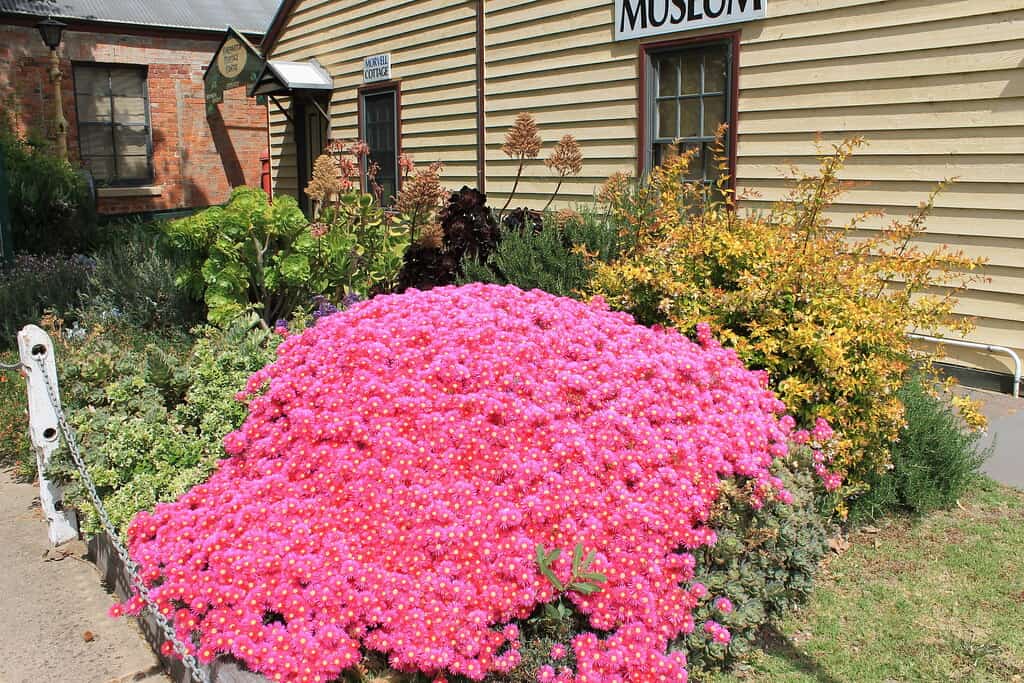 Shepparton Heritage Centre Museum
