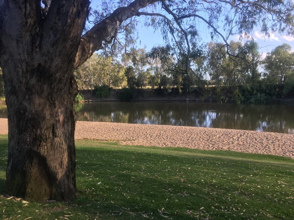 Wagga Beach