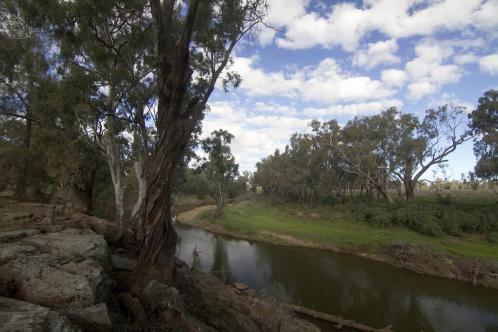 Terramungamine Reserve