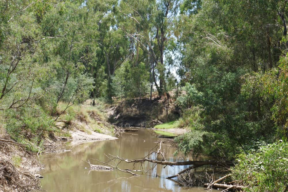 Lower Goulburn National Park
