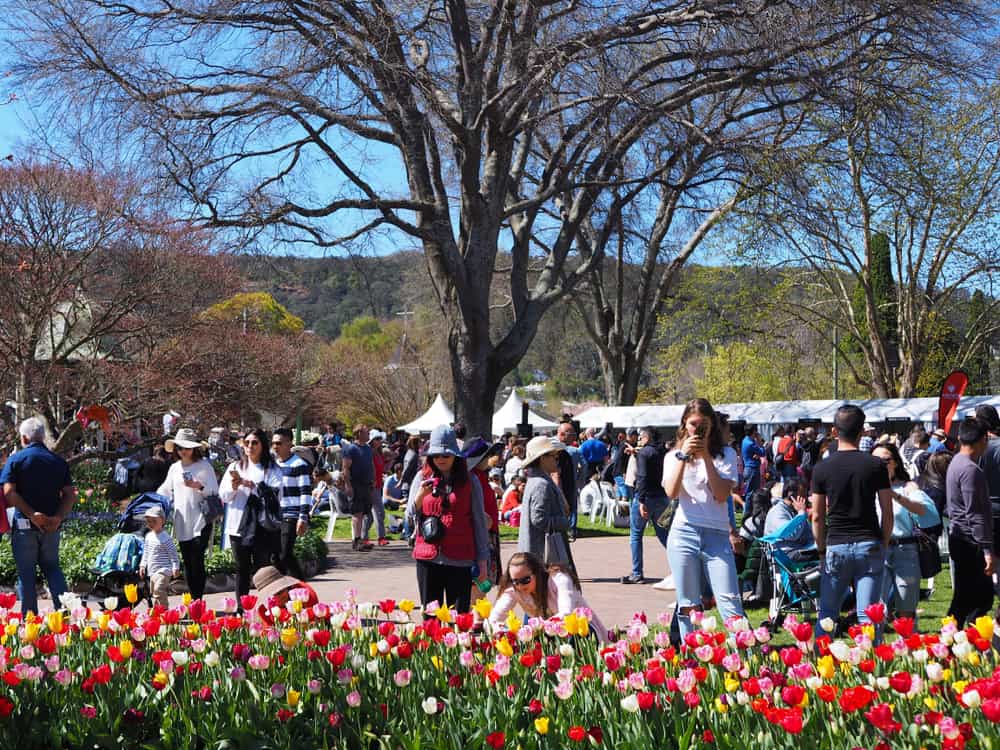 Tulip Time Festival