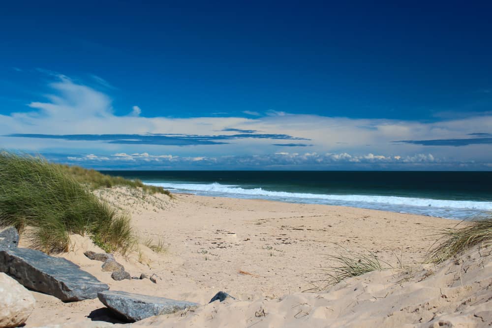 Back Beach