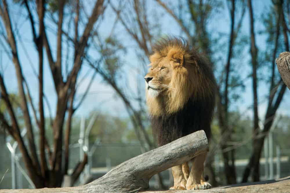 Taronga Western Plains Zoo