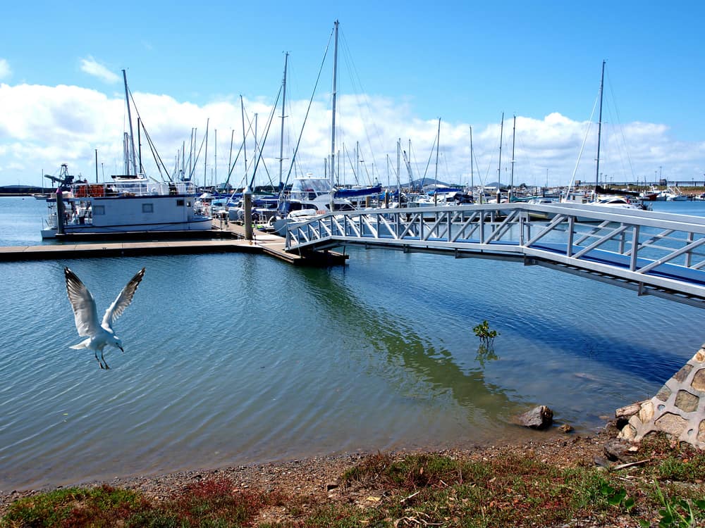 Gladstone Harbour Cruise