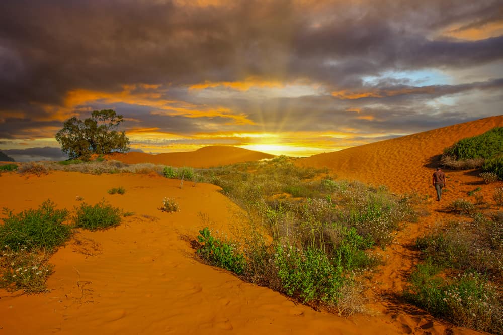 Perry Sandhills