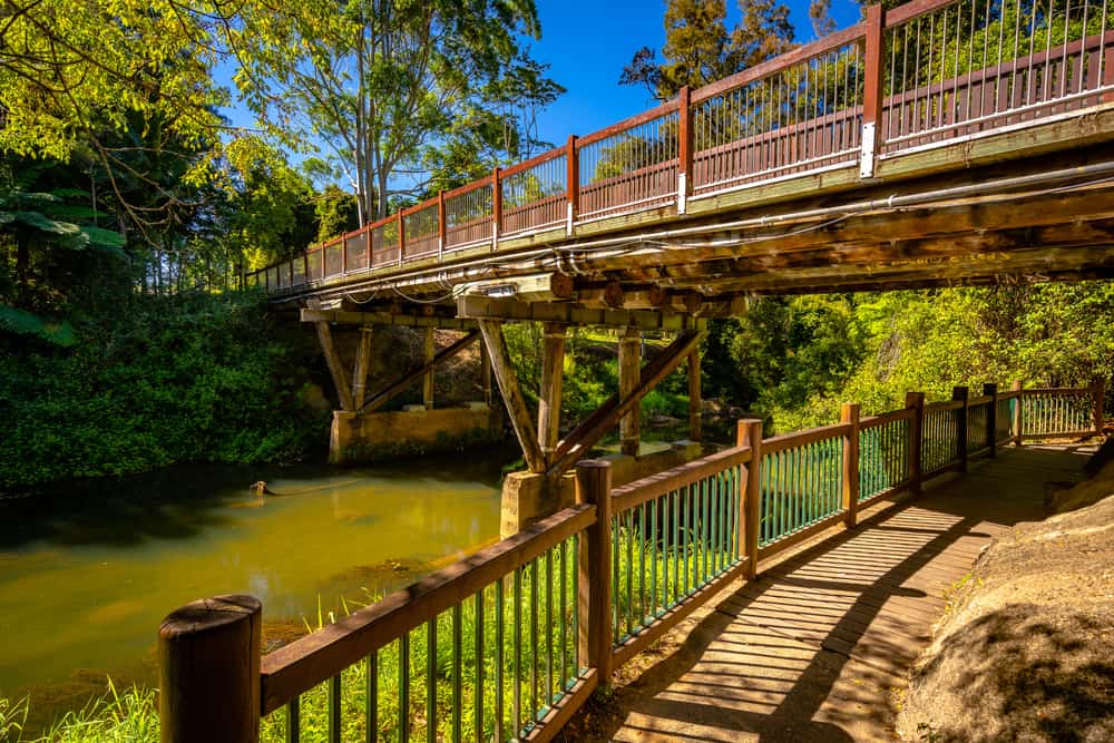 Eungella National Park
