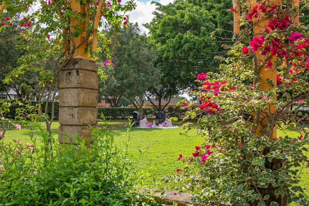 Mackay Regional Botanic Gardens