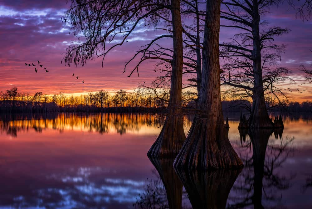 Horseshoe Lake State Park