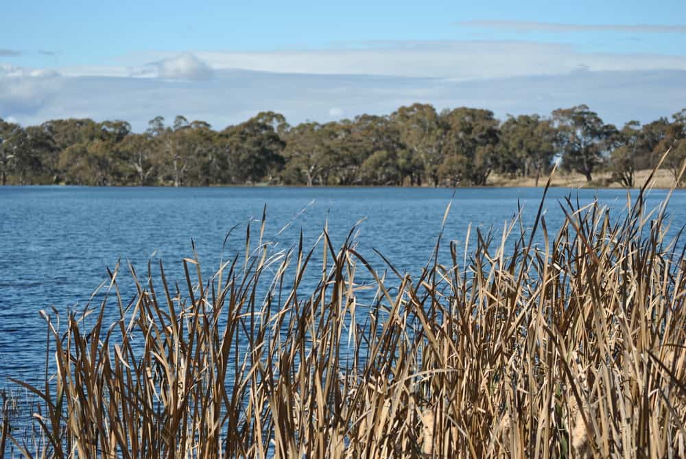 Gosling Creek Reserve