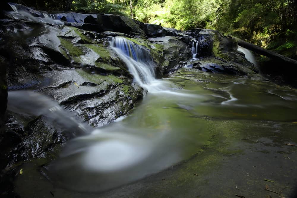 Morwell River Falls