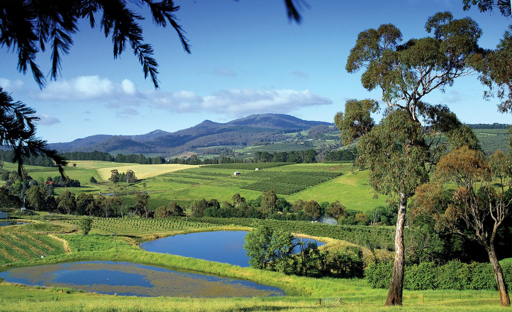 Mount Canobolas